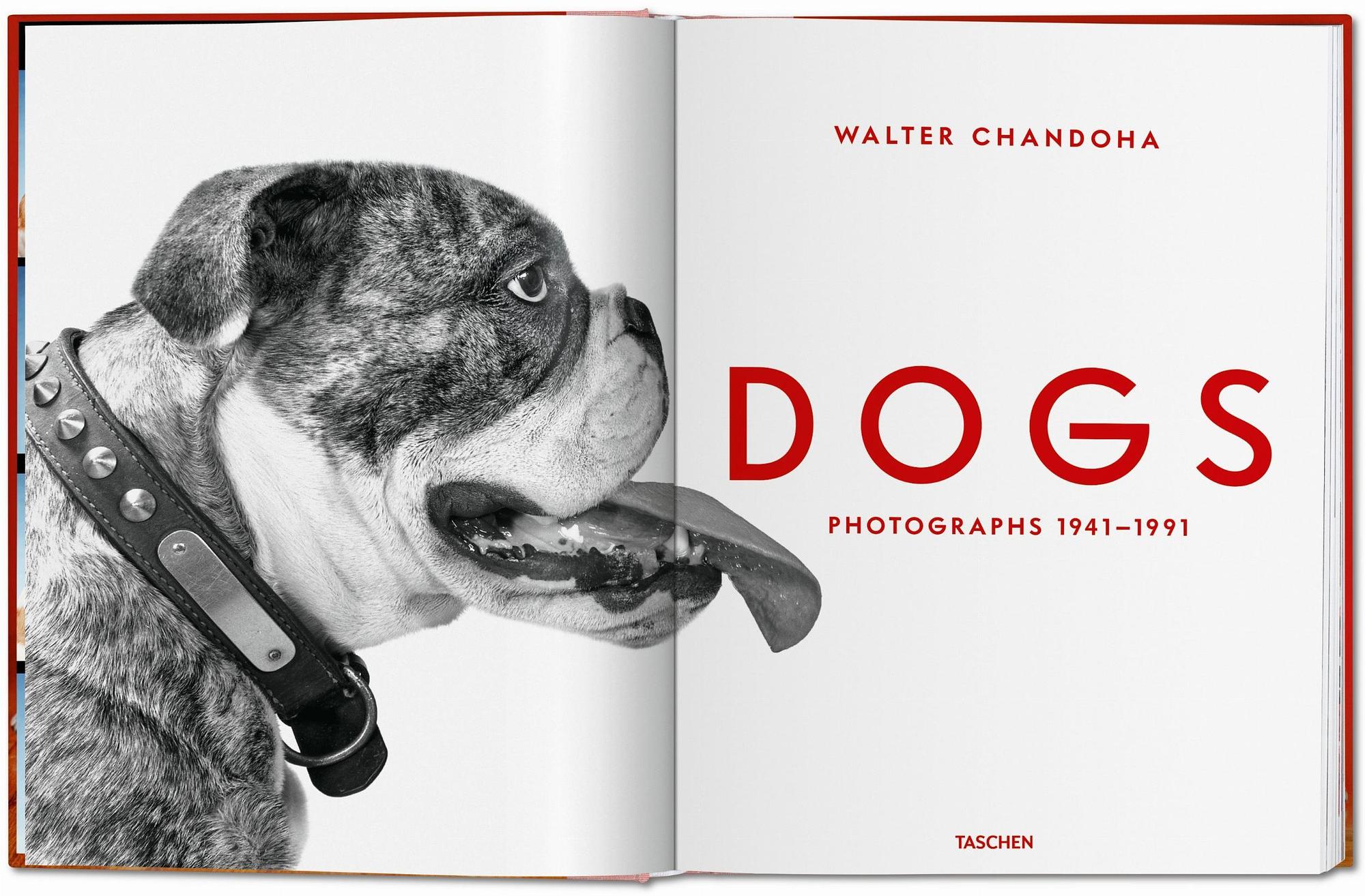 Walter Chandoha. Dogs. Photographs 1941–1991 1
