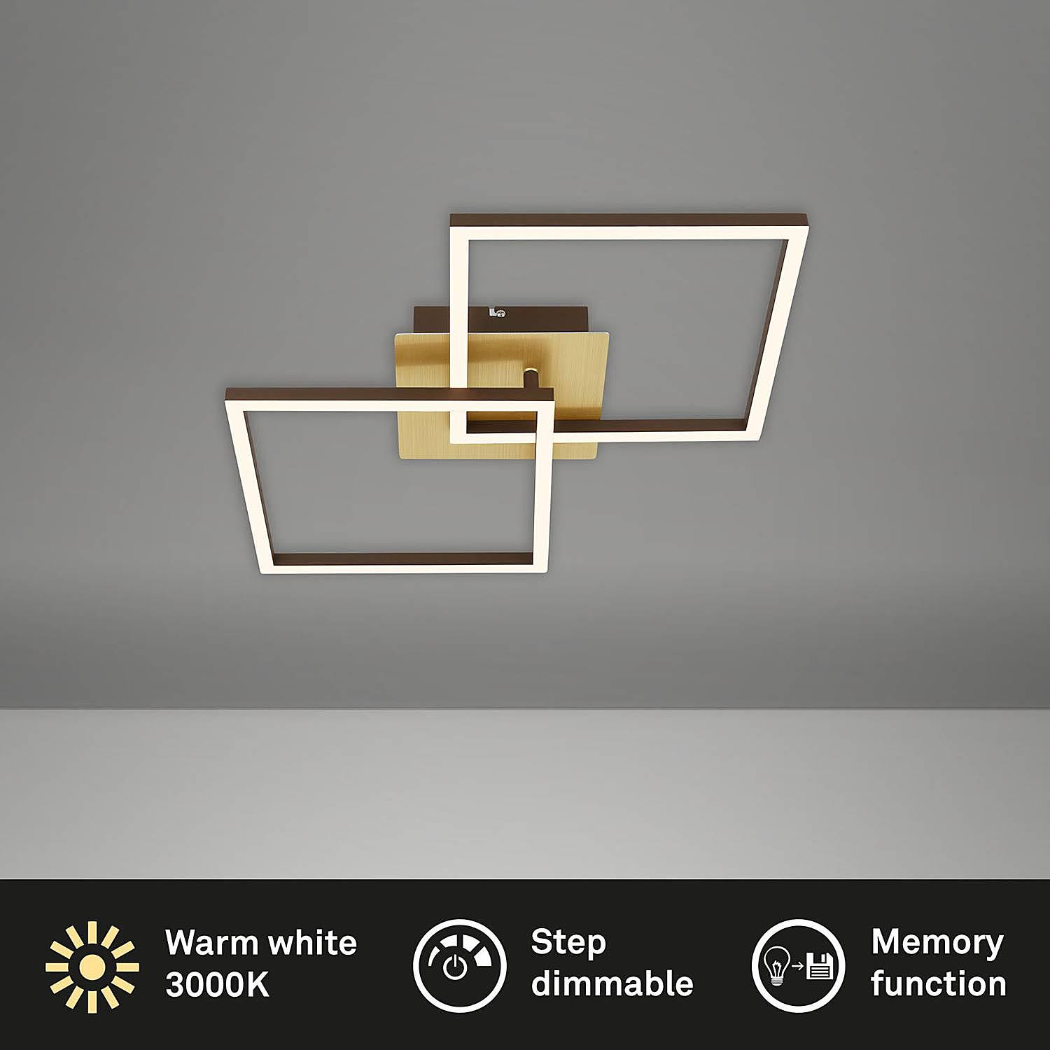 2-Burner LED Ceiling Light Frame IV Nylon Iron 4
