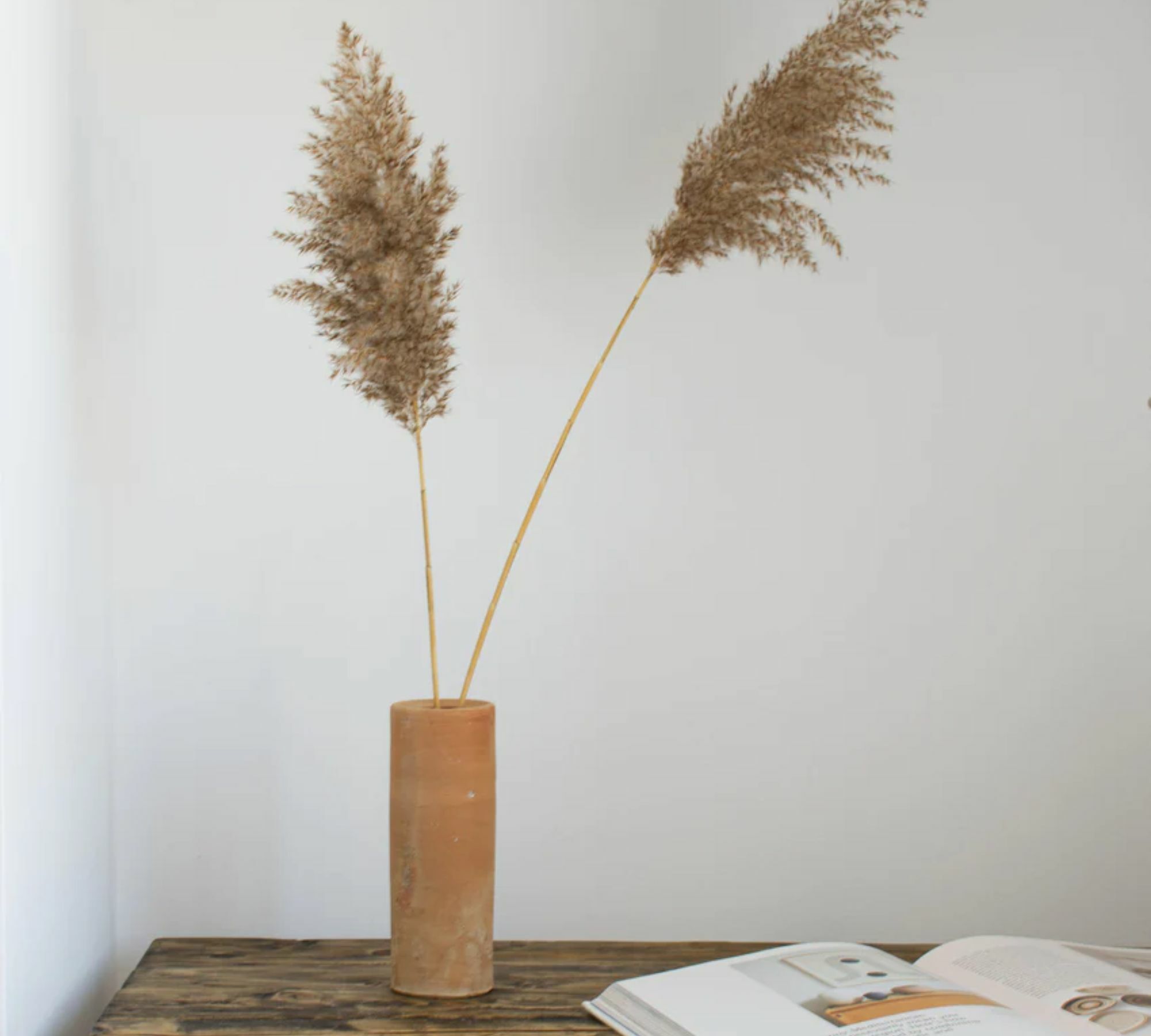 Amaral Vase Terrakotta Nussbaum 0