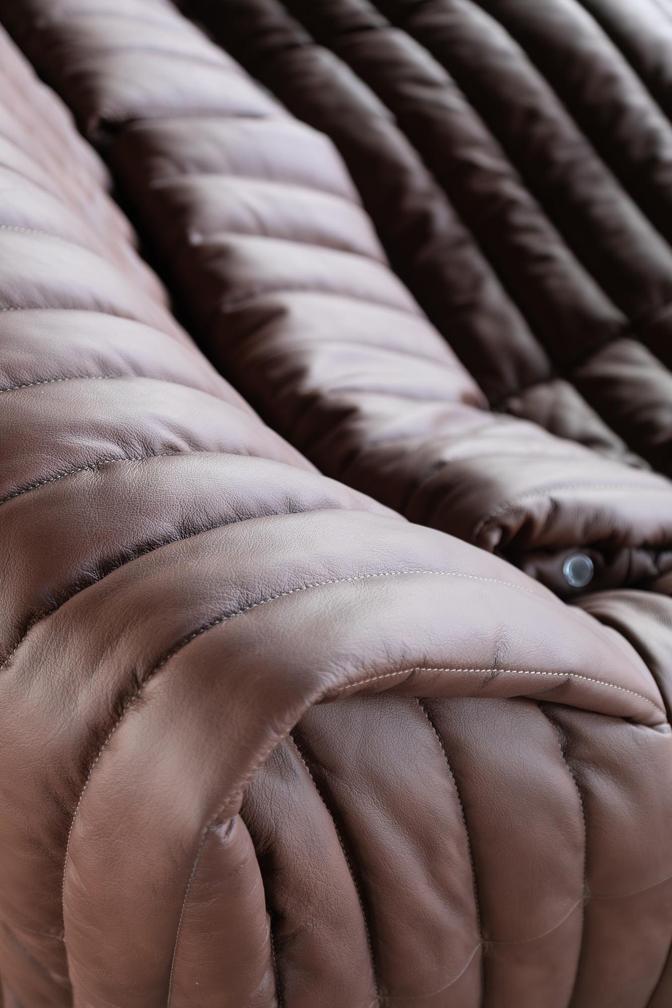 Sandra Sofa 2-Sitzer Glattleder Folk Brown 4