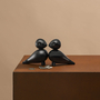 Lovebirds Schwarz 5