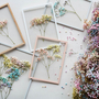 Frame A5 Rosa 5