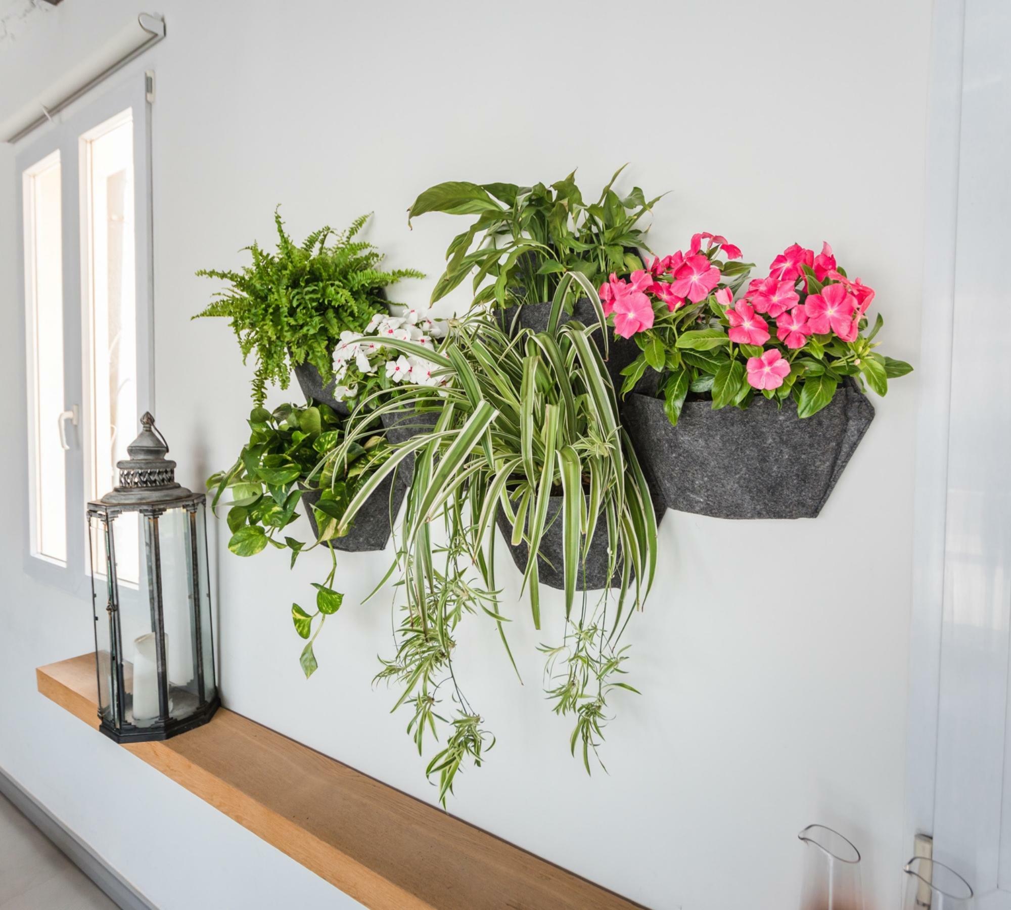 3x Wall planter Black with self-watering textile cover 5