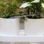 Automatic drip irrigation for plants White 3