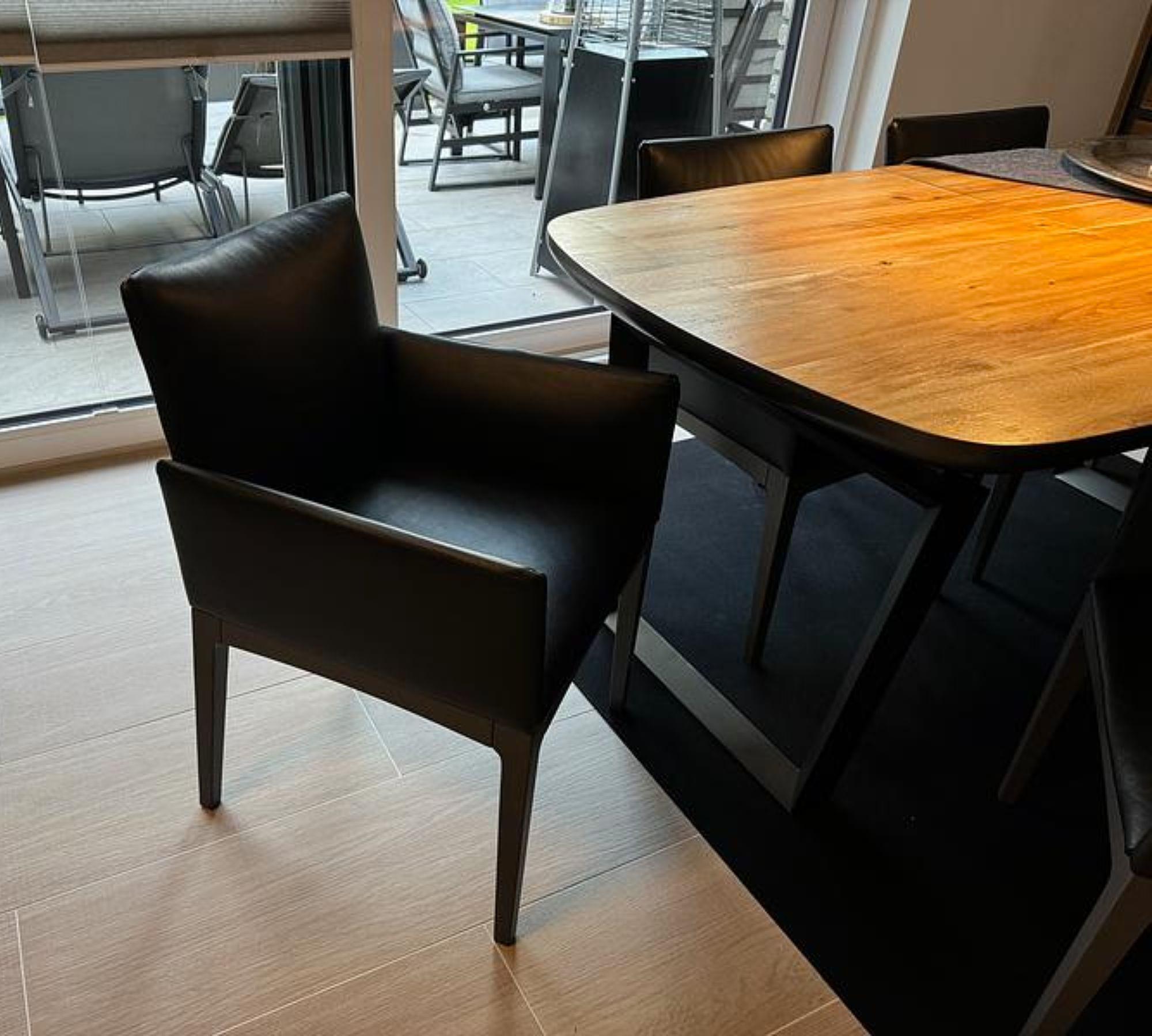 6x Kollektion Bono Stuhl Leder 6