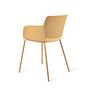 Koto Garden Chair Banana Buzz 3