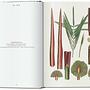 Martius. The Book of Palms. 45th Ed. 3