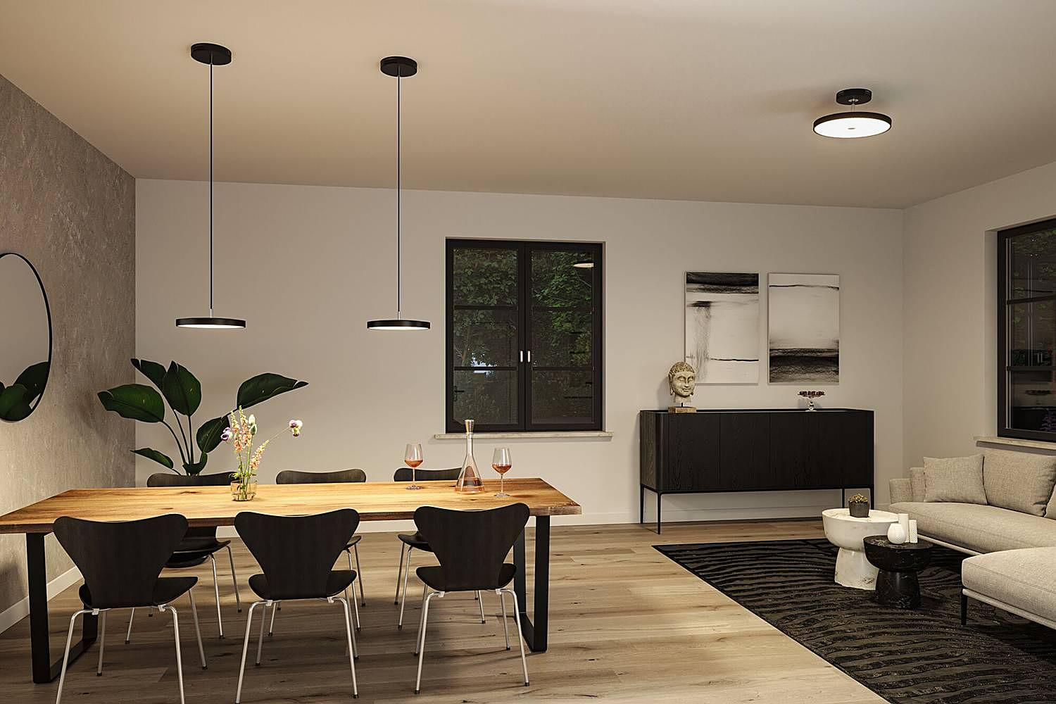 Pendelleuchte Hildor Aluminium Schwarz 2
