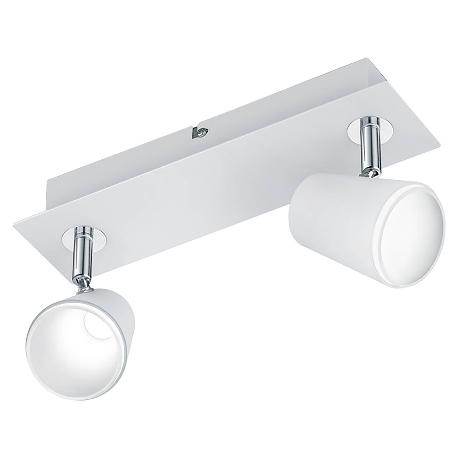 Narcos Type A LED Ceiling Light Iron 2-bulb 0