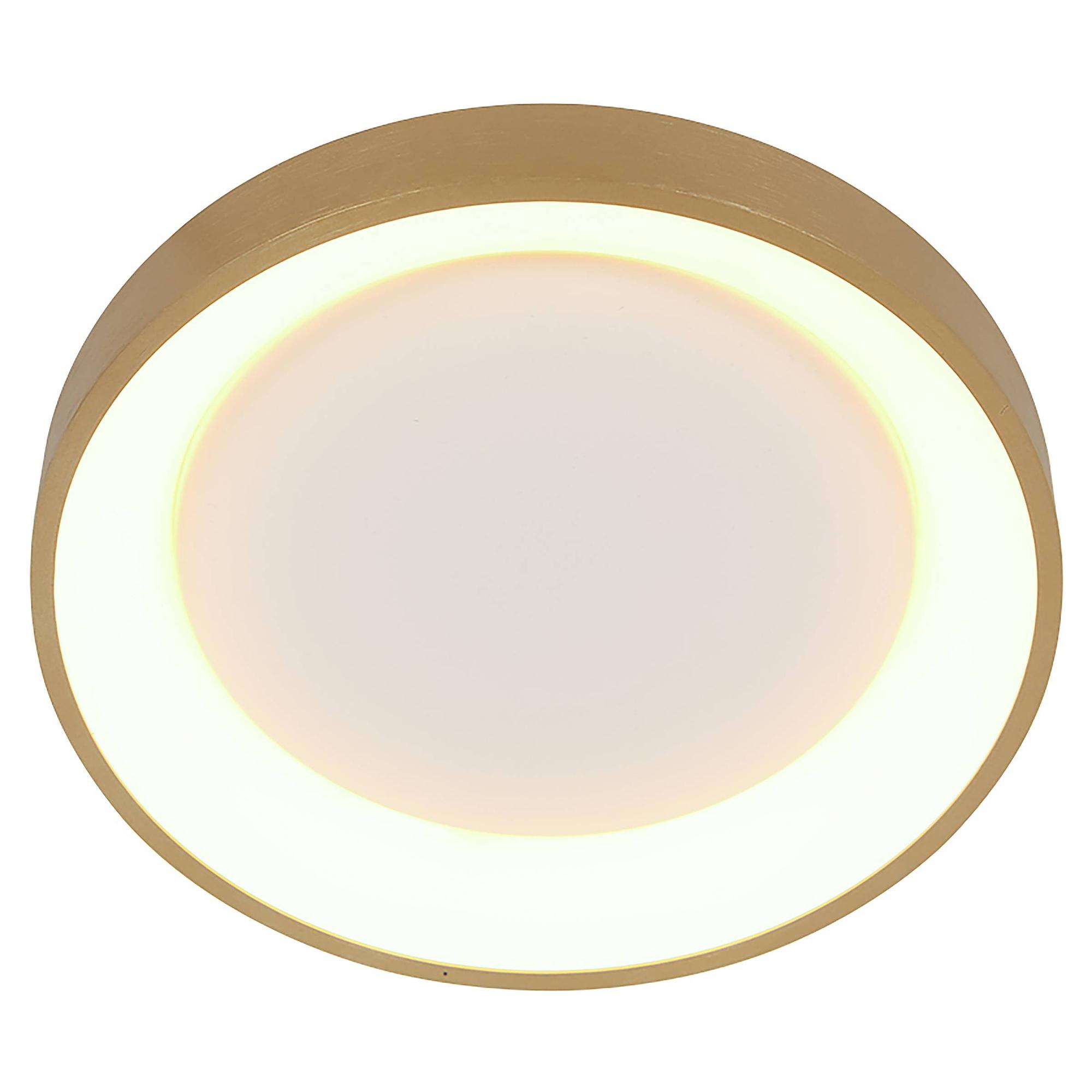 Ringlede Deckenleuchte Gold 28cm 1
