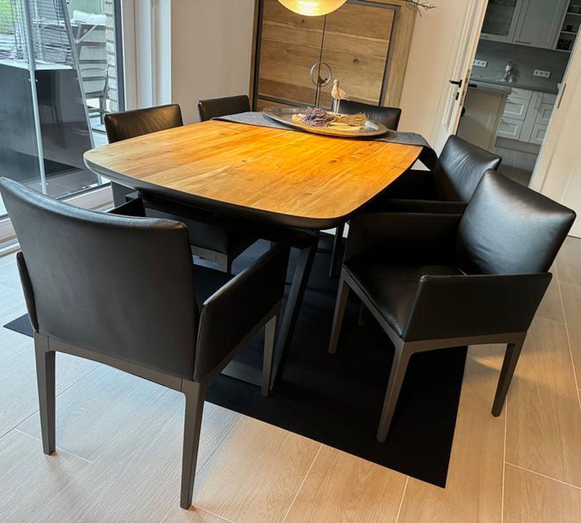 6x Kollektion Bono Stuhl Leder 8