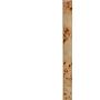 Beistelltisch Mota Burl Wood 
 3