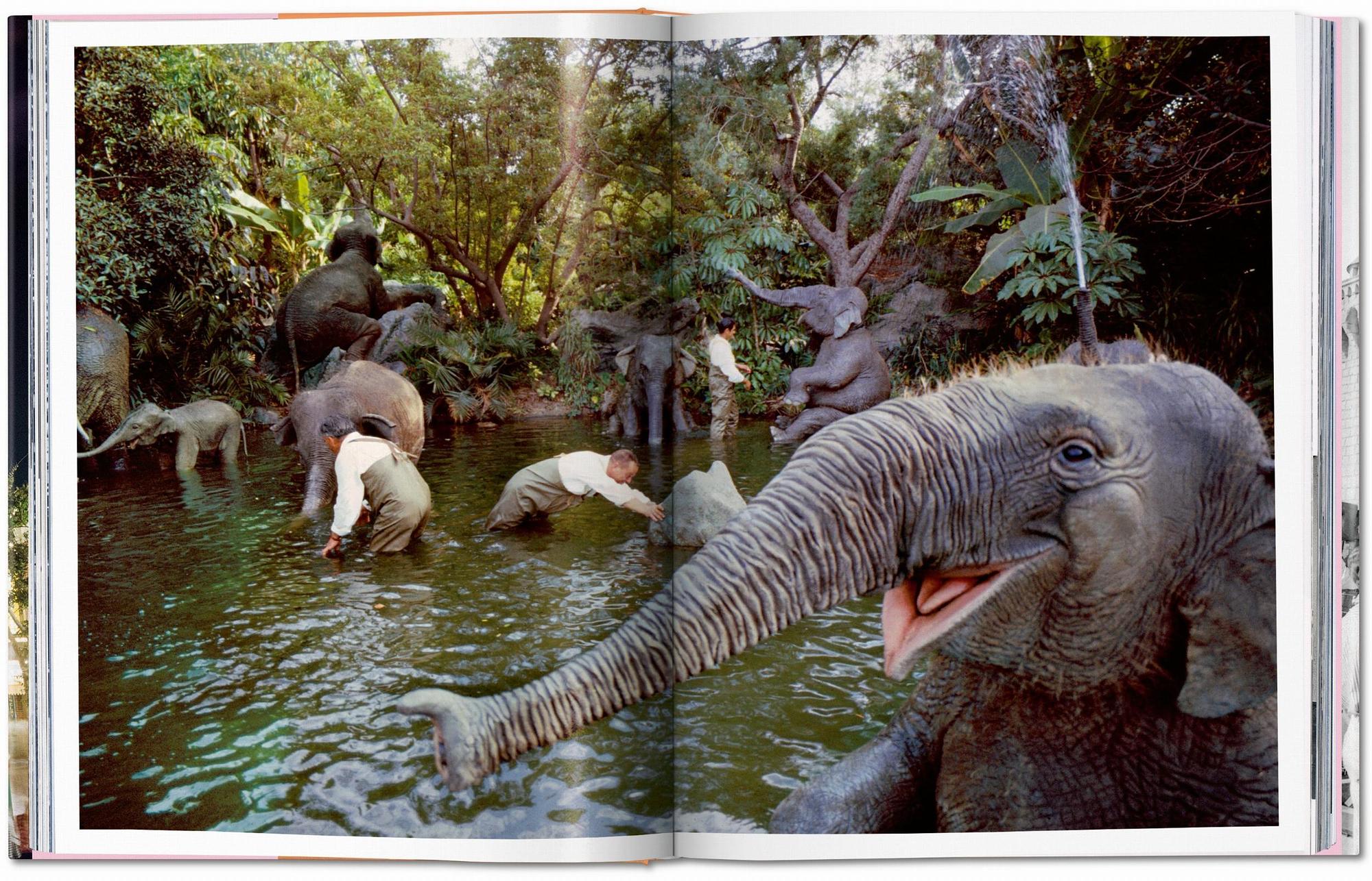 Walt Disney’s Disneyland 2