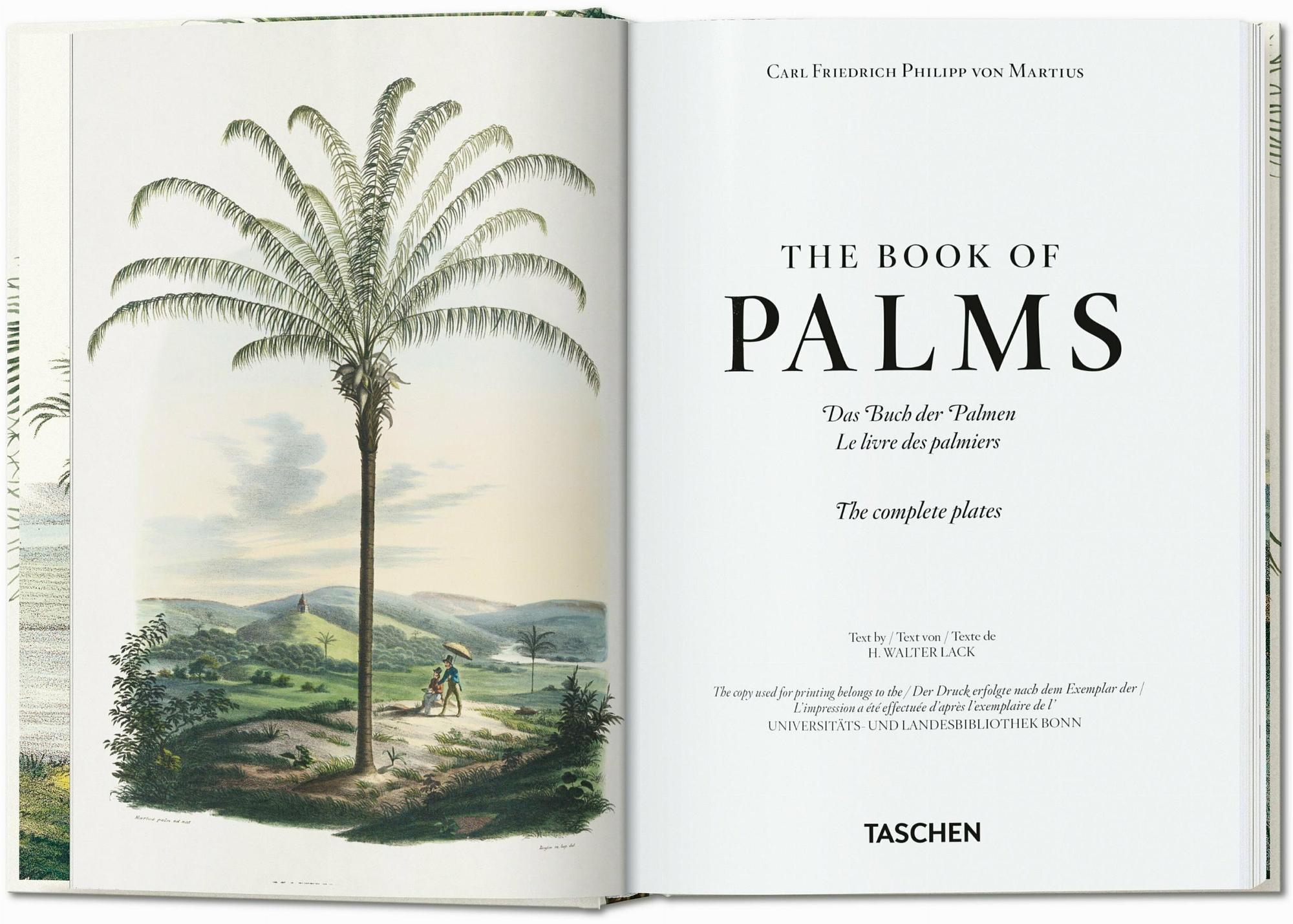 Italian target? No.
    *   Is it possible the user thinks "The Book of Palms" is German? No.

    *   Let's search for this specific book. It's a Taschen book. Taschen is a German publisher.
    *   The title is often listed as: "Martius. Das Buch der Palmen".
    *   The user provided: " 1