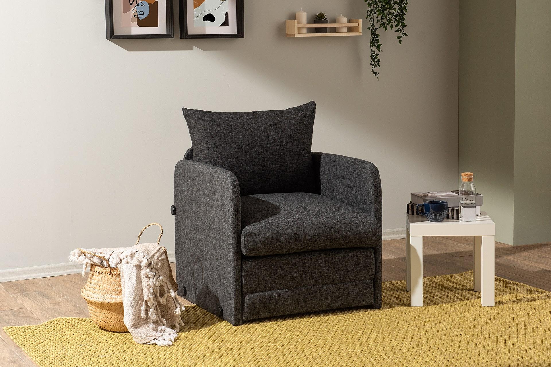 Saga Sleeper Sofa 1-seater Dark Grey 0