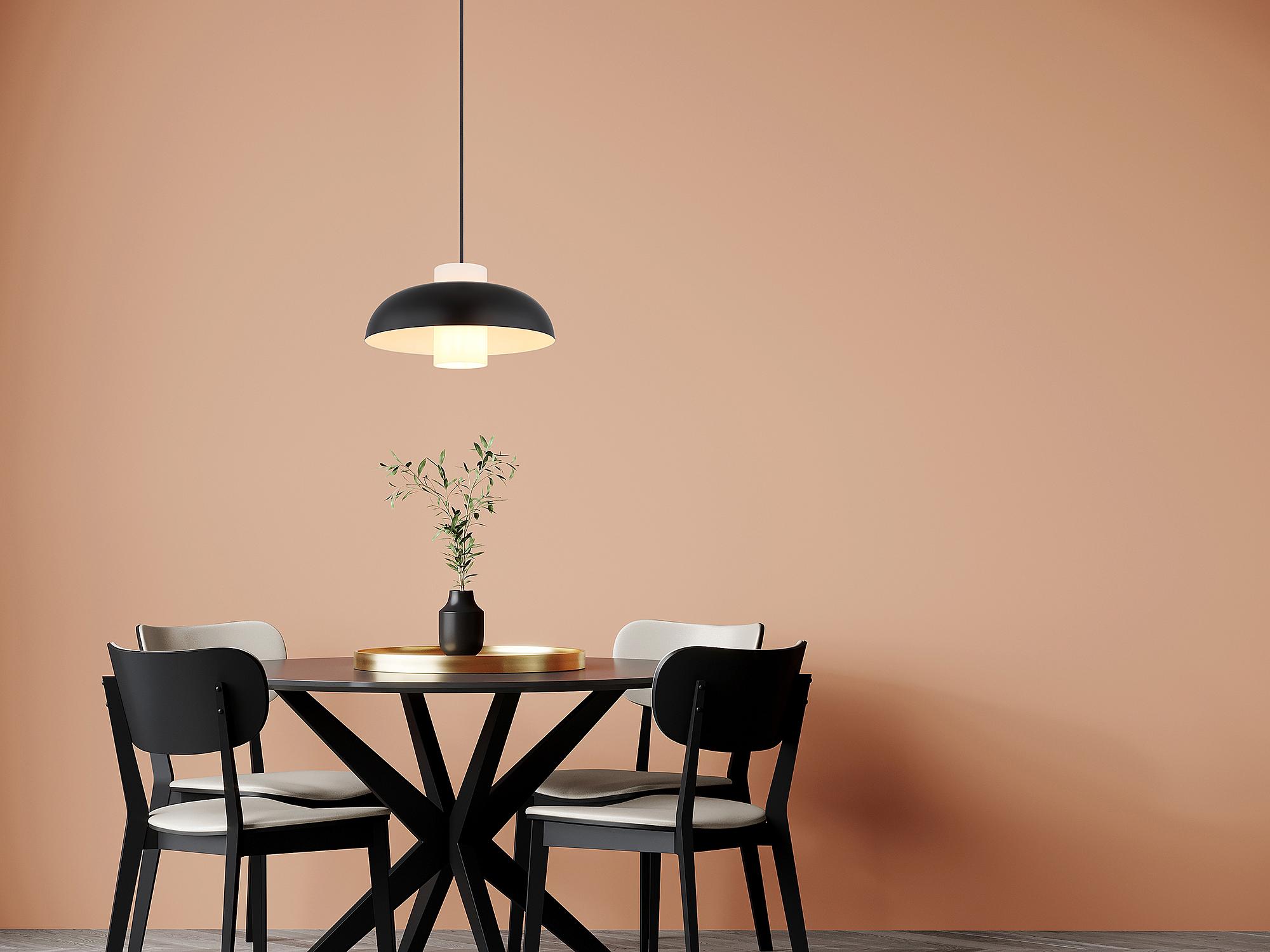 Lowe Pendant Light Iron 1-Light Black 2