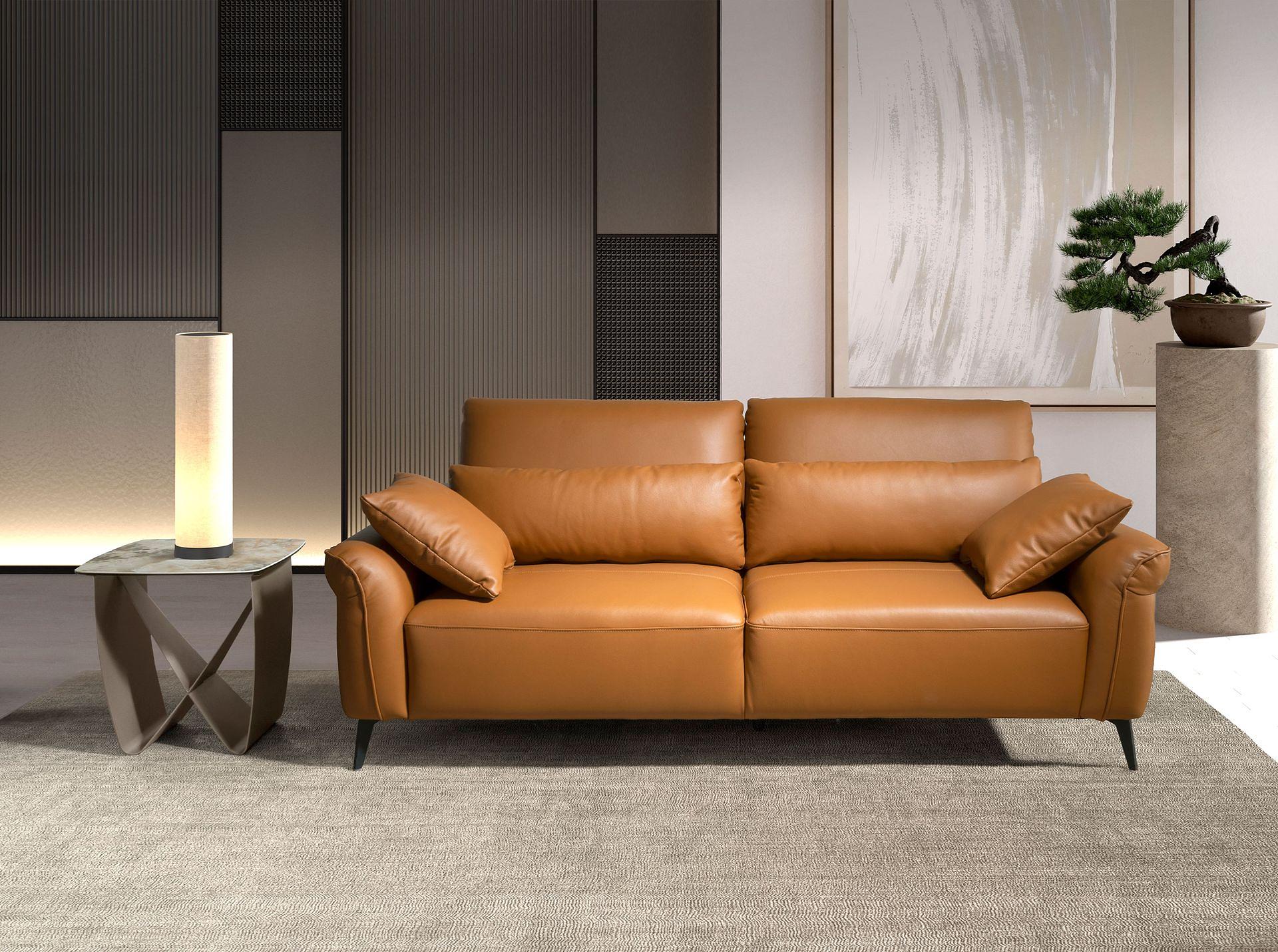 2-Sitzer Sofa braunes Leder 6207 2