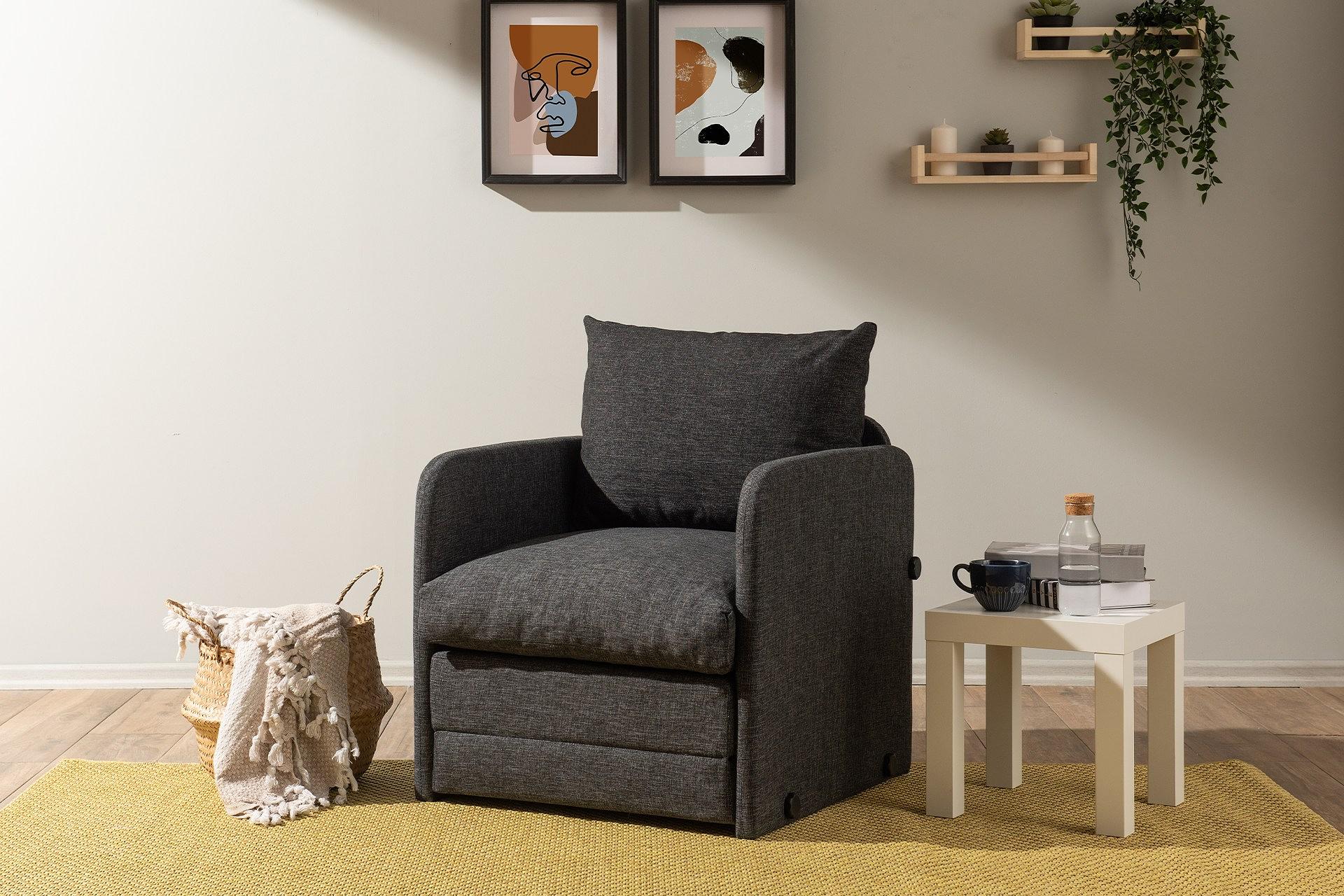 Saga Sleeper Sofa 1-seater Dark Grey 1