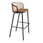 Bar stool Rattan velvet 0