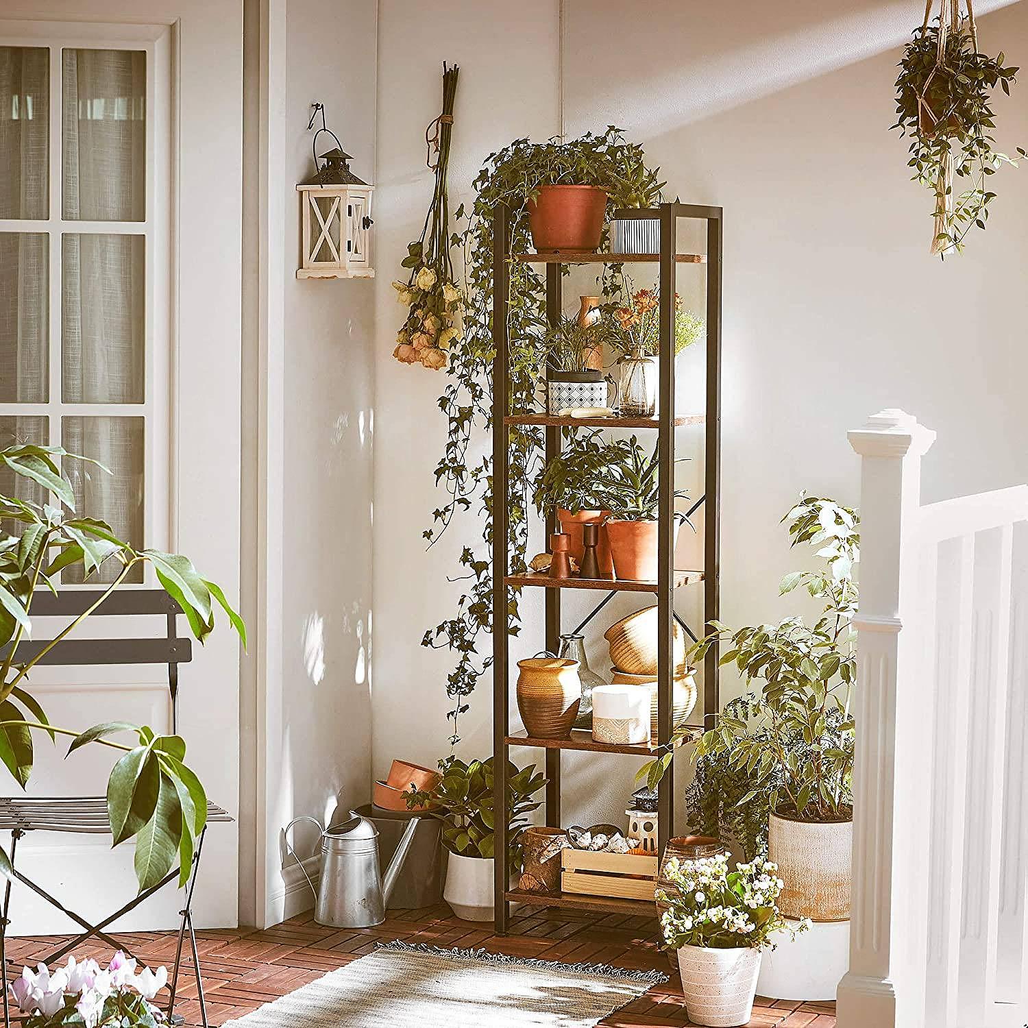 Leesville X Regal Braun  2