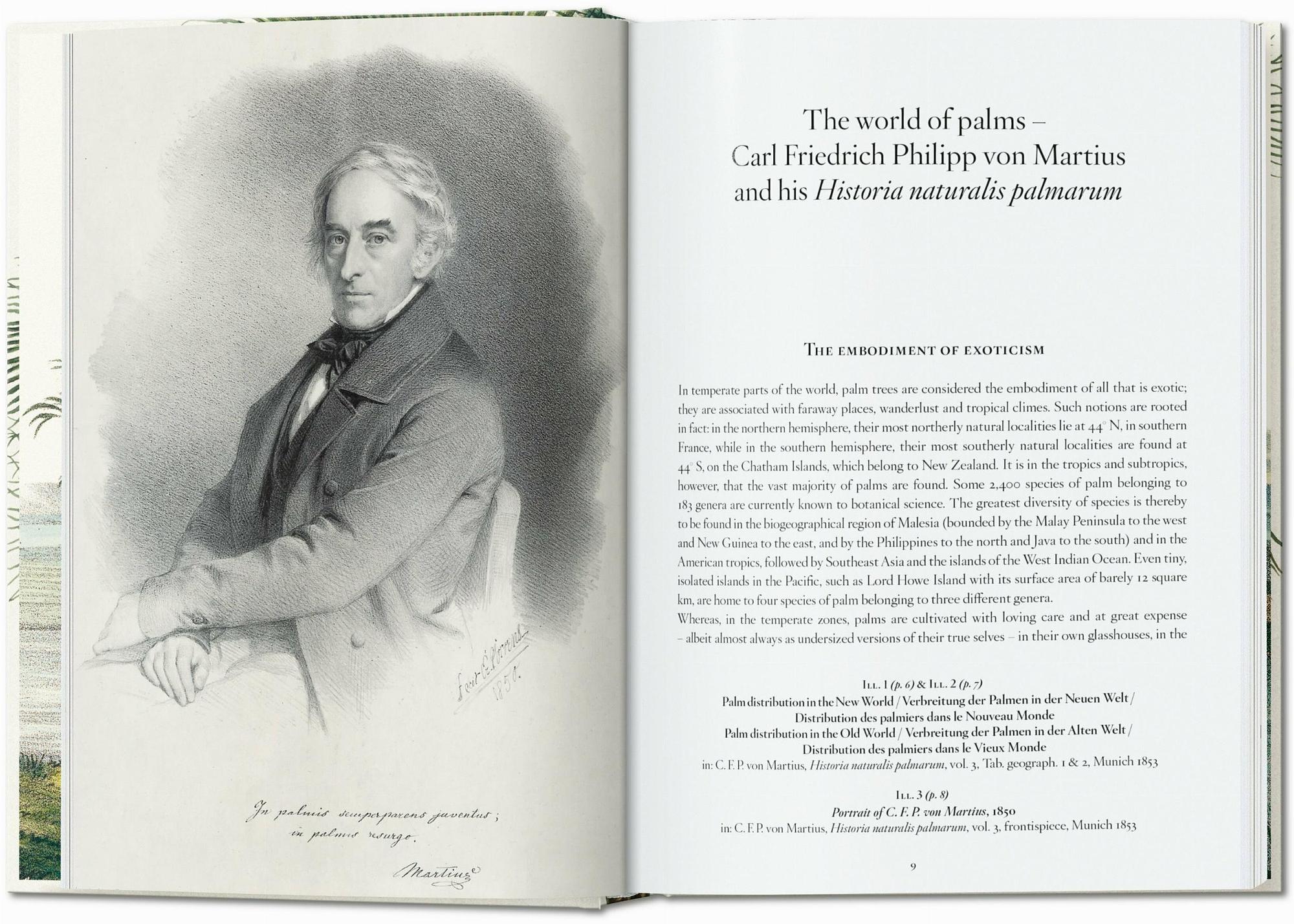 Italian target? No.
    *   Is it possible the user thinks "The Book of Palms" is German? No.

    *   Let's search for this specific book. It's a Taschen book. Taschen is a German publisher.
    *   The title is often listed as: "Martius. Das Buch der Palmen".
    *   The user provided: " 2