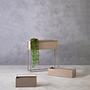 Ascher Wand-Pflanzkasten Grau 3