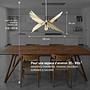 Albatros L'imparfait Pendelleuchte Holz 65cm 4