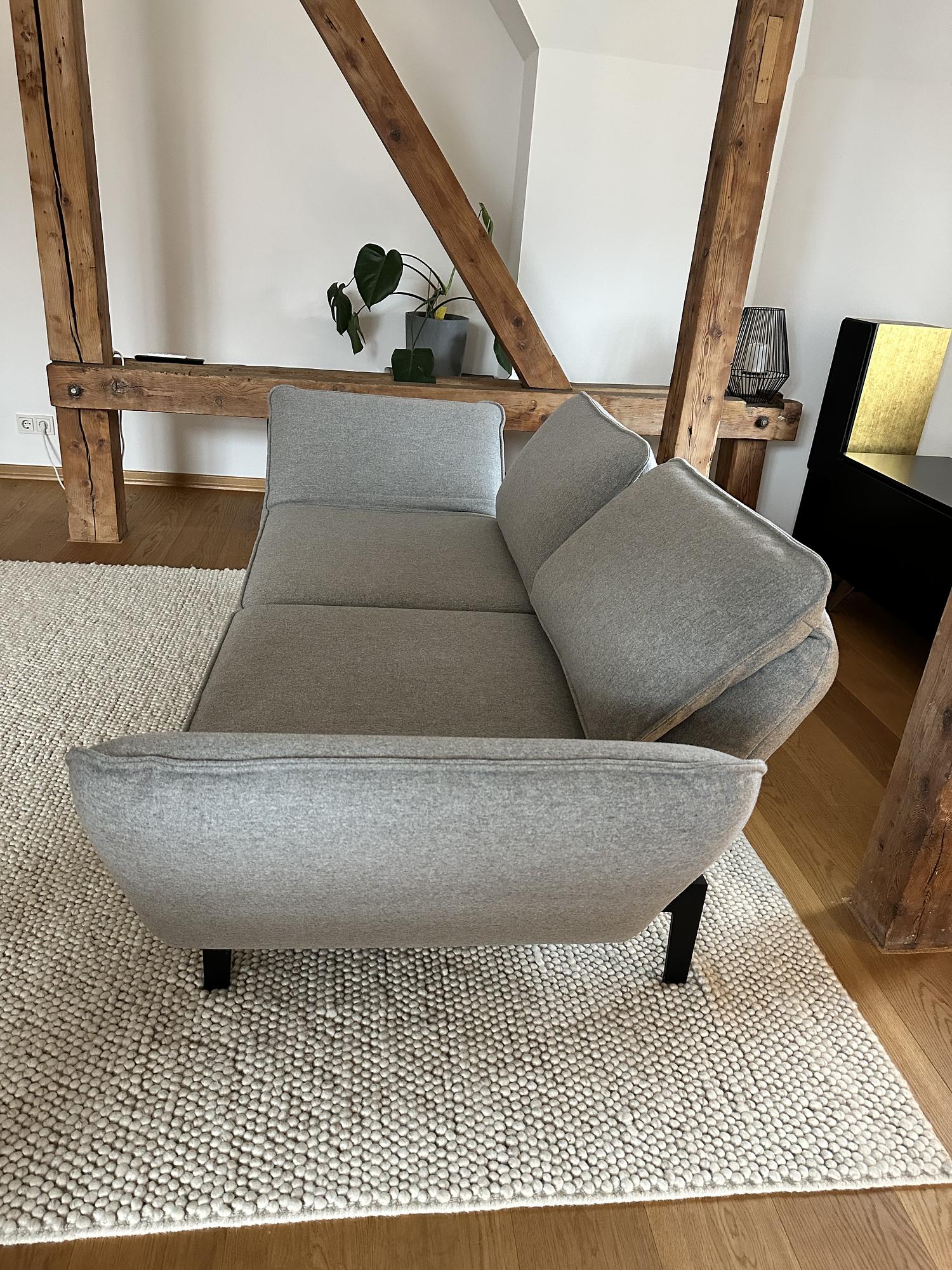 Rolf Benz Mera 2-seater (unique piece) 3