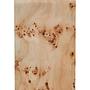 Beistelltisch Mota Burl Wood 
 4