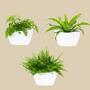 3x Wall flower pot with self-watering White 0