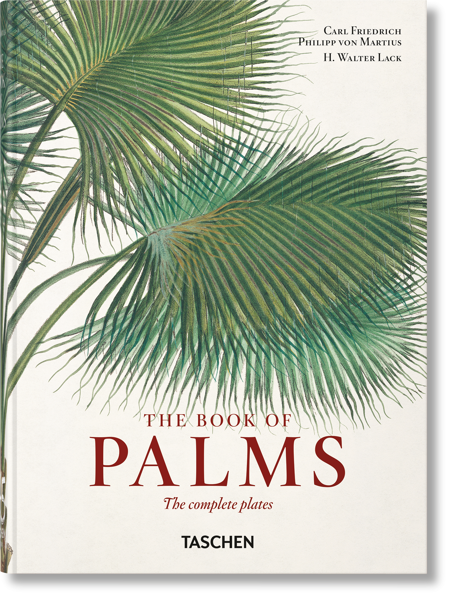 Italian target? No.
    *   Is it possible the user thinks "The Book of Palms" is German? No.

    *   Let's search for this specific book. It's a Taschen book. Taschen is a German publisher.
    *   The title is often listed as: "Martius. Das Buch der Palmen".
    *   The user provided: " 0