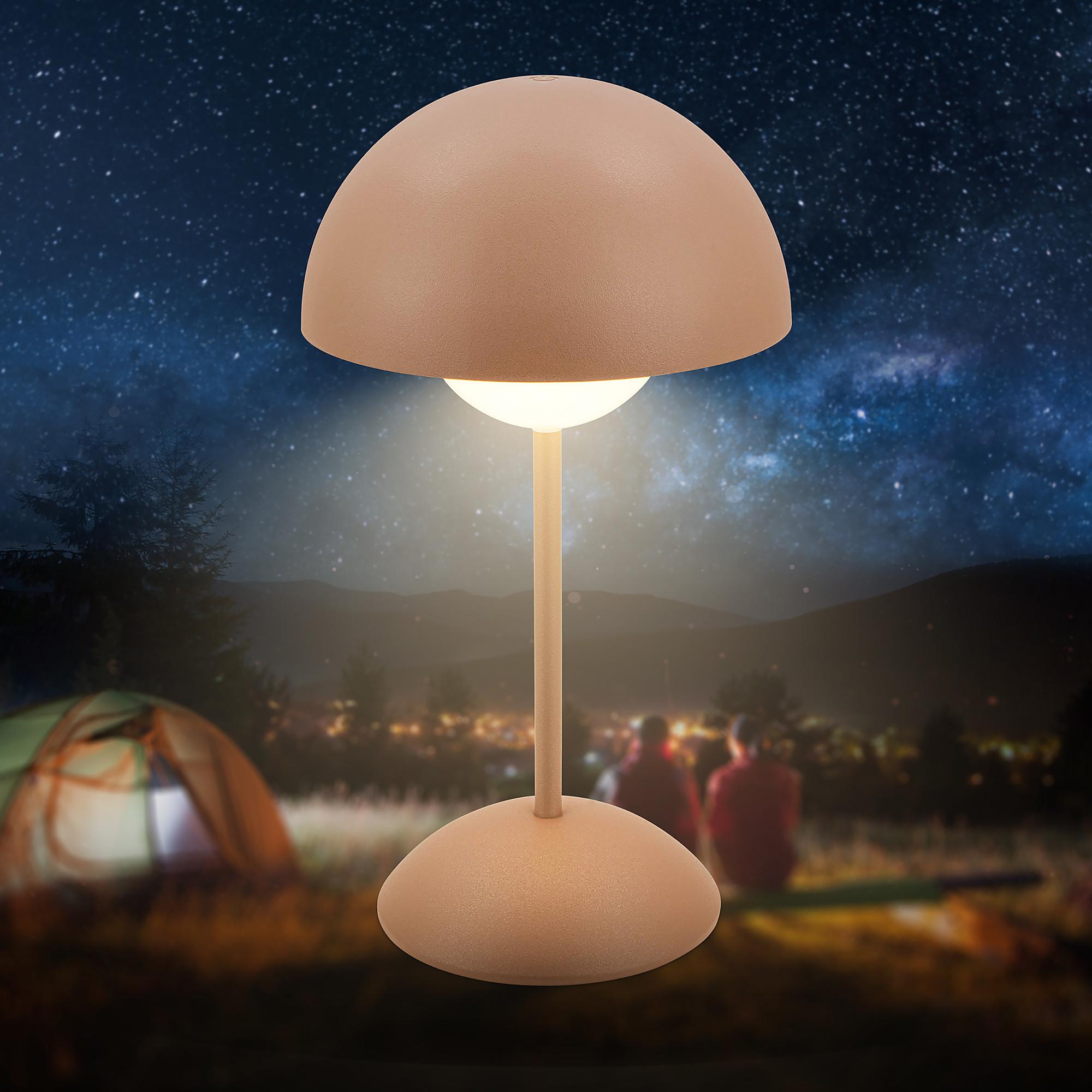 Kugle Akku LED Tischleuchte Aluminium Braun 4