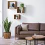 x3 Wandregal TAMATI Pinie massiv 2
