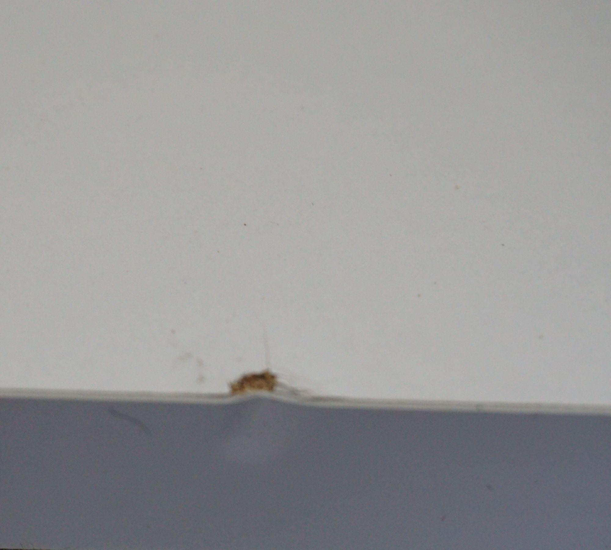 Milan Couchtisch Walnussbraun Weiß 7