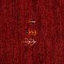Tappeto Rizbaf Gabbeh Lana Rosso 4