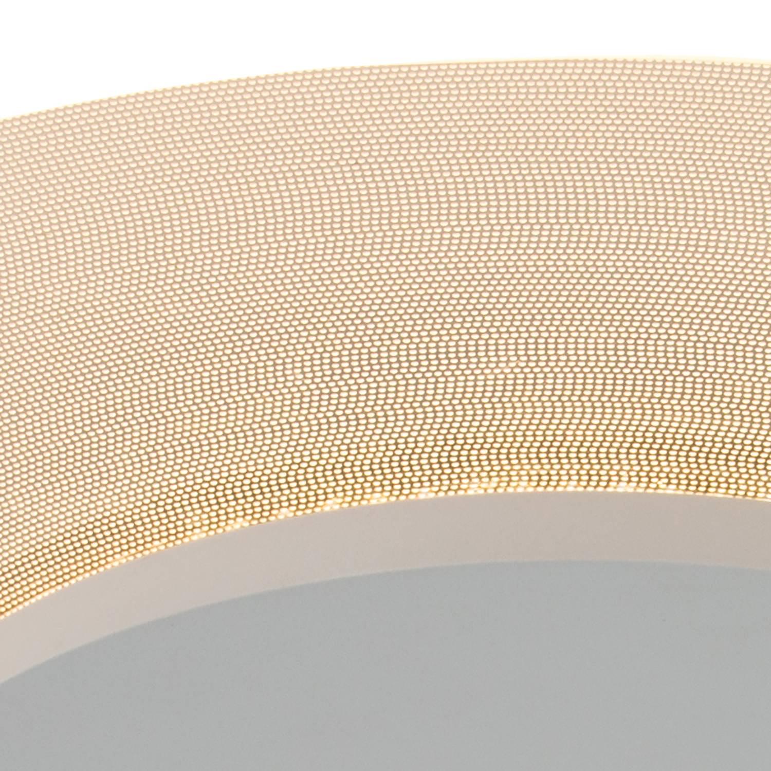 LED Ceiling Light Elanora 1-Light Acrylic Glass Steel 36 cm 2