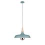 Pendant lamp Juna III Rubber tree Solid stainless steel 4
