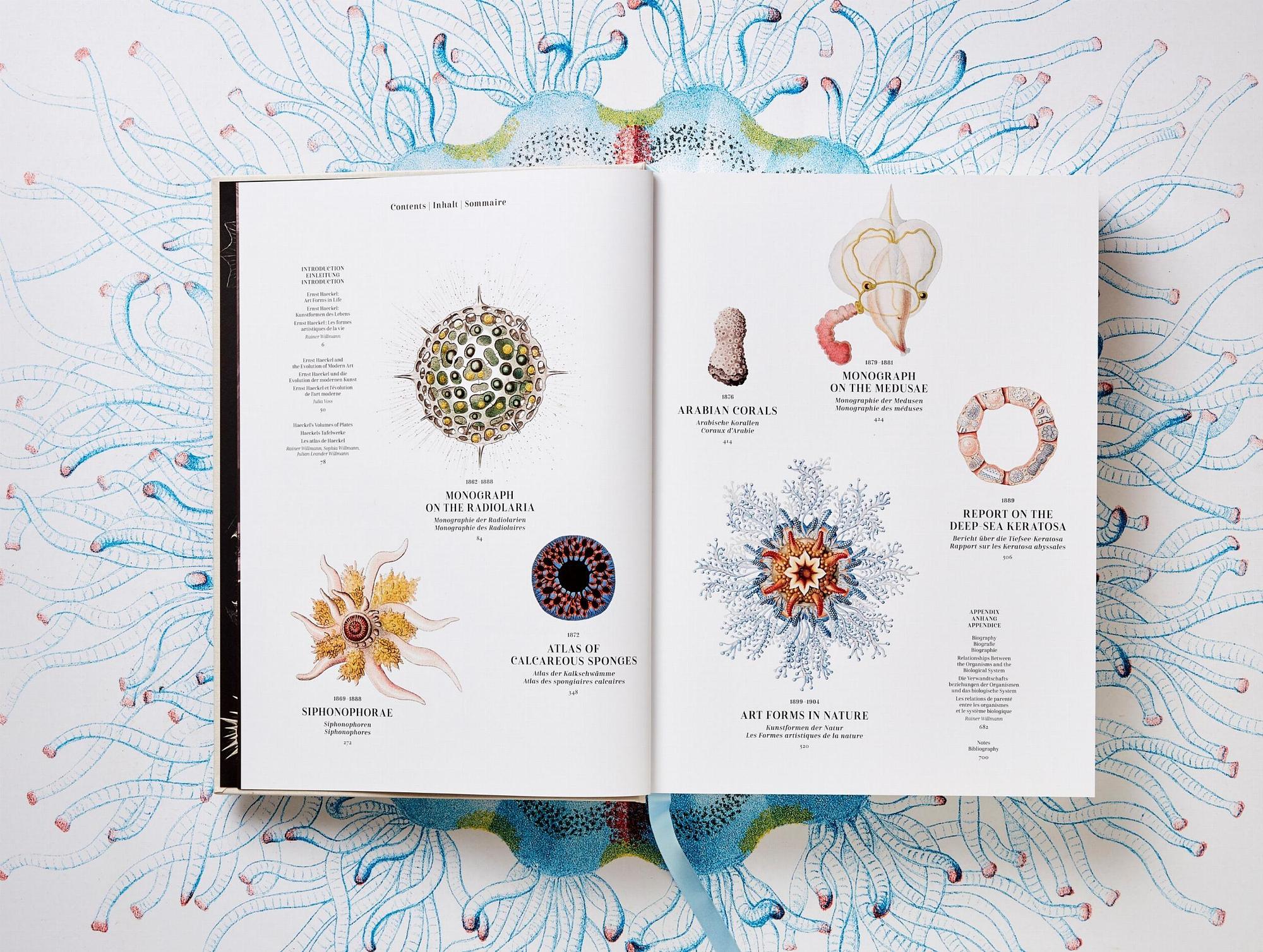 The Art and Science of Ernst Haeckel 2