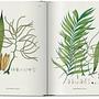 Martius. The Book of Palms. 45th Ed. 4