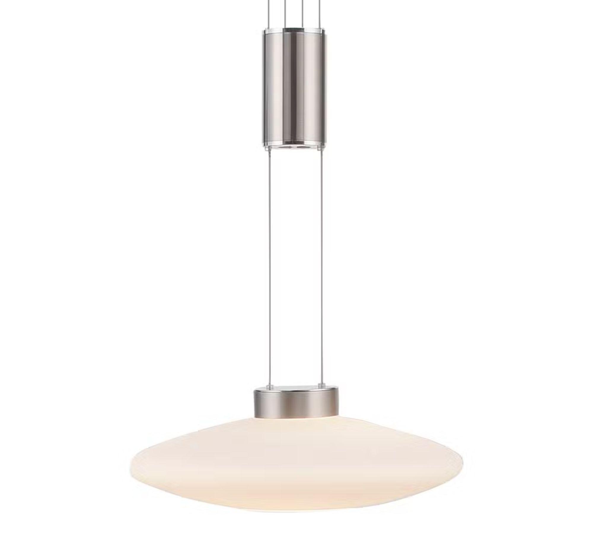 Pendant lamp frosted glass silver 0