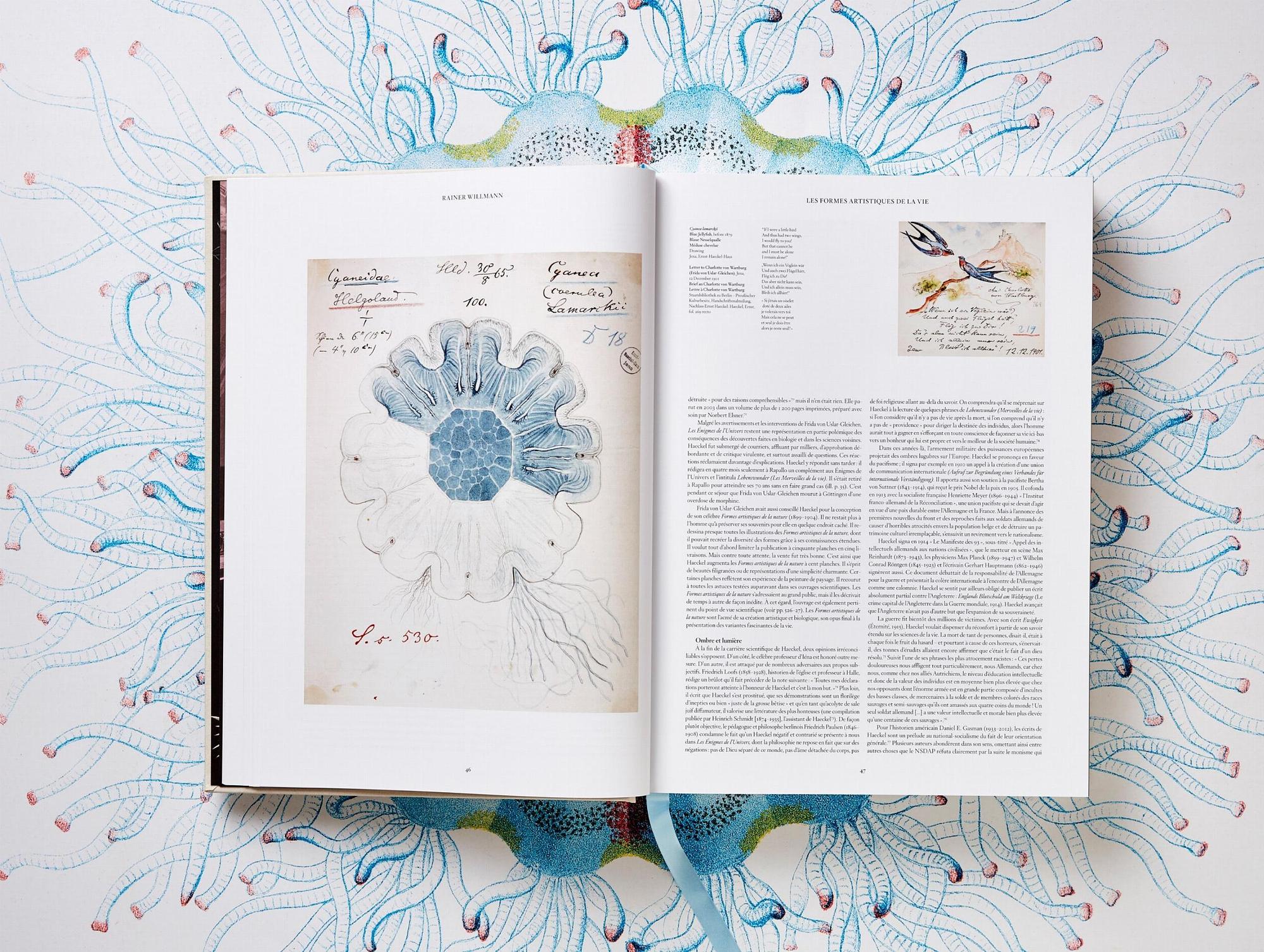 The Art and Science of Ernst Haeckel 3