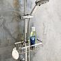 Shower shelf Floresta Stainless steel ABS Silver 3