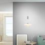 Pendant lamp frosted glass silver 1