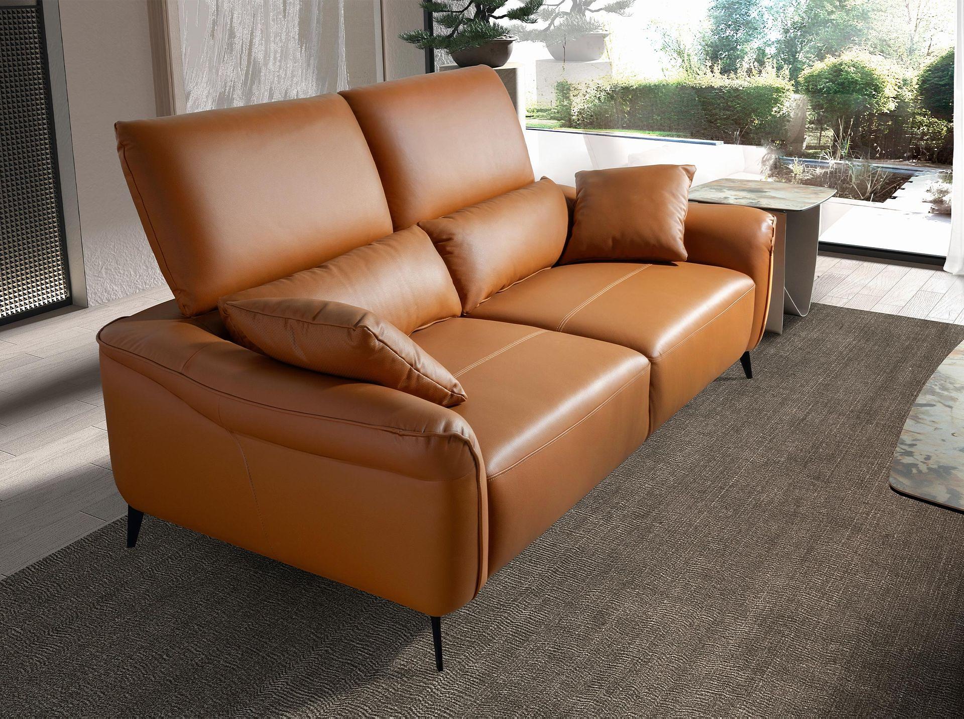 2-Sitzer Sofa braunes Leder 6207 6