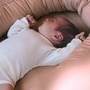 Babynest Bio-Baumwolle Kapok Rosa 4