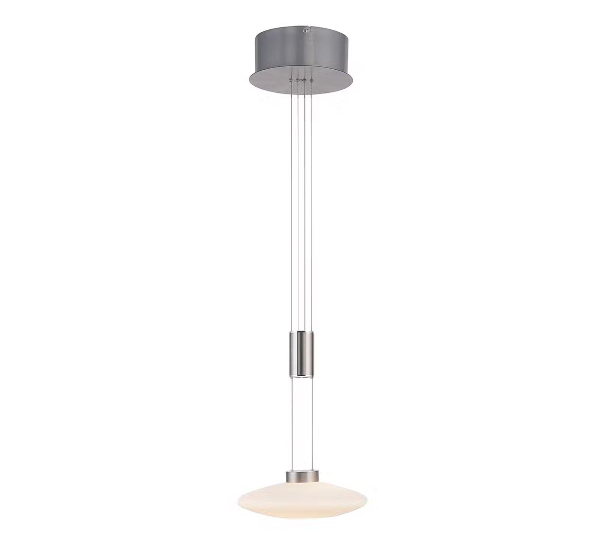 Pendant lamp frosted glass silver 2