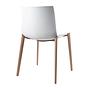 Catifa 46 visitor chair Oak White 1