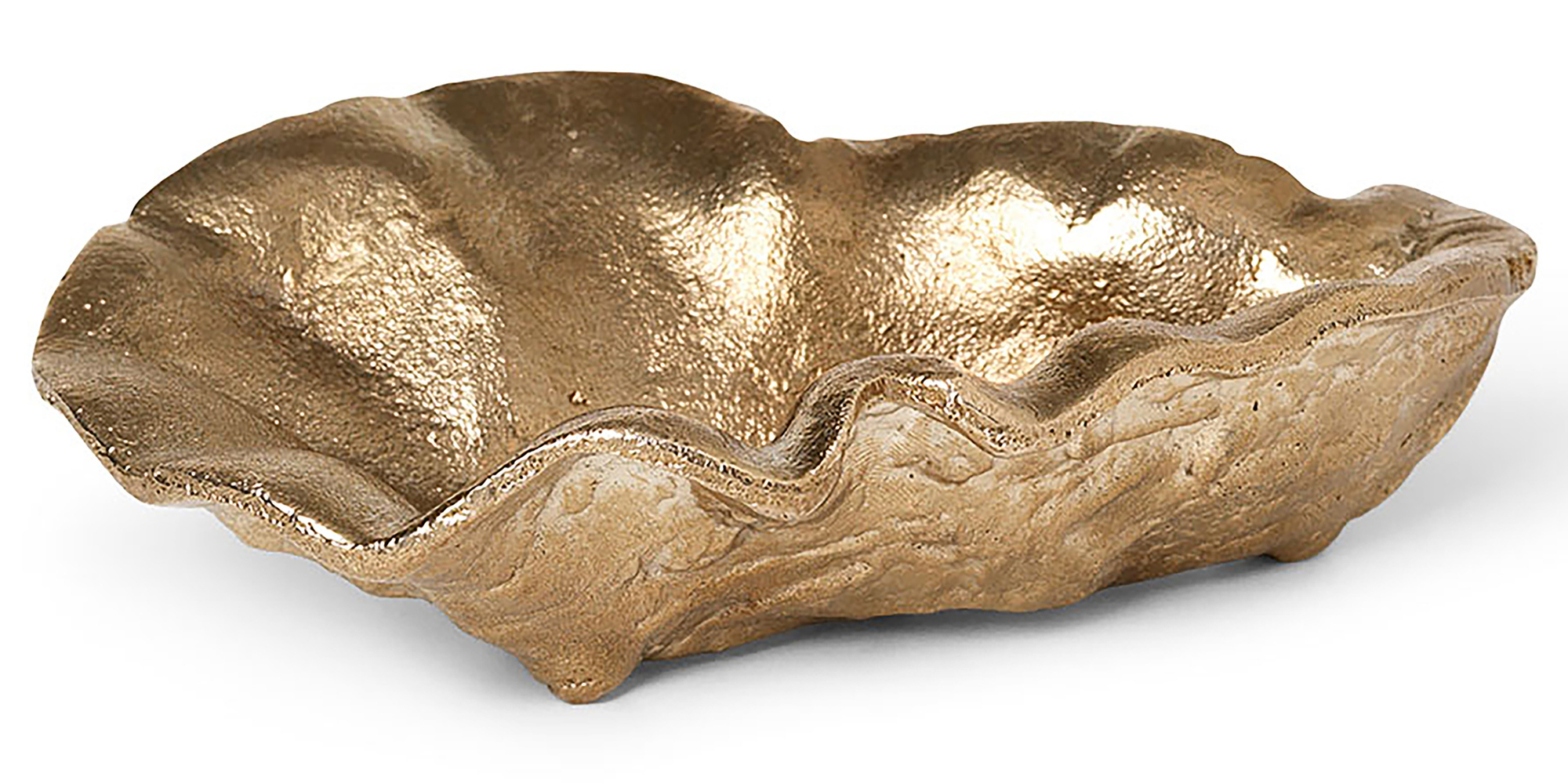Austernschale Gold 0