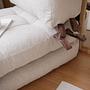 Fold Teddy Sleeper Sofa 1-seater Cream 4