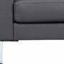 Portobello Sofa 2-Sitzer Leder Metall Dunkelgrau 3